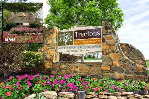 Treetops At Chester Hollow Apartment Homes Monument