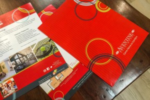 Design Print & Sign Studio - Aventine Pocket Folder and Flyer in the Circles Series