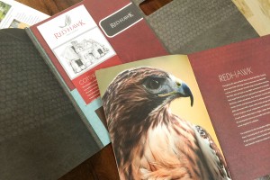Red Hawk Creative Pocket Folder Brochure with Insert Slit
