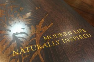 WaterStone at Carriage Trails Apartments - Matt and Gloss Varnishes on Satin Paper Pocket Folder Brochure