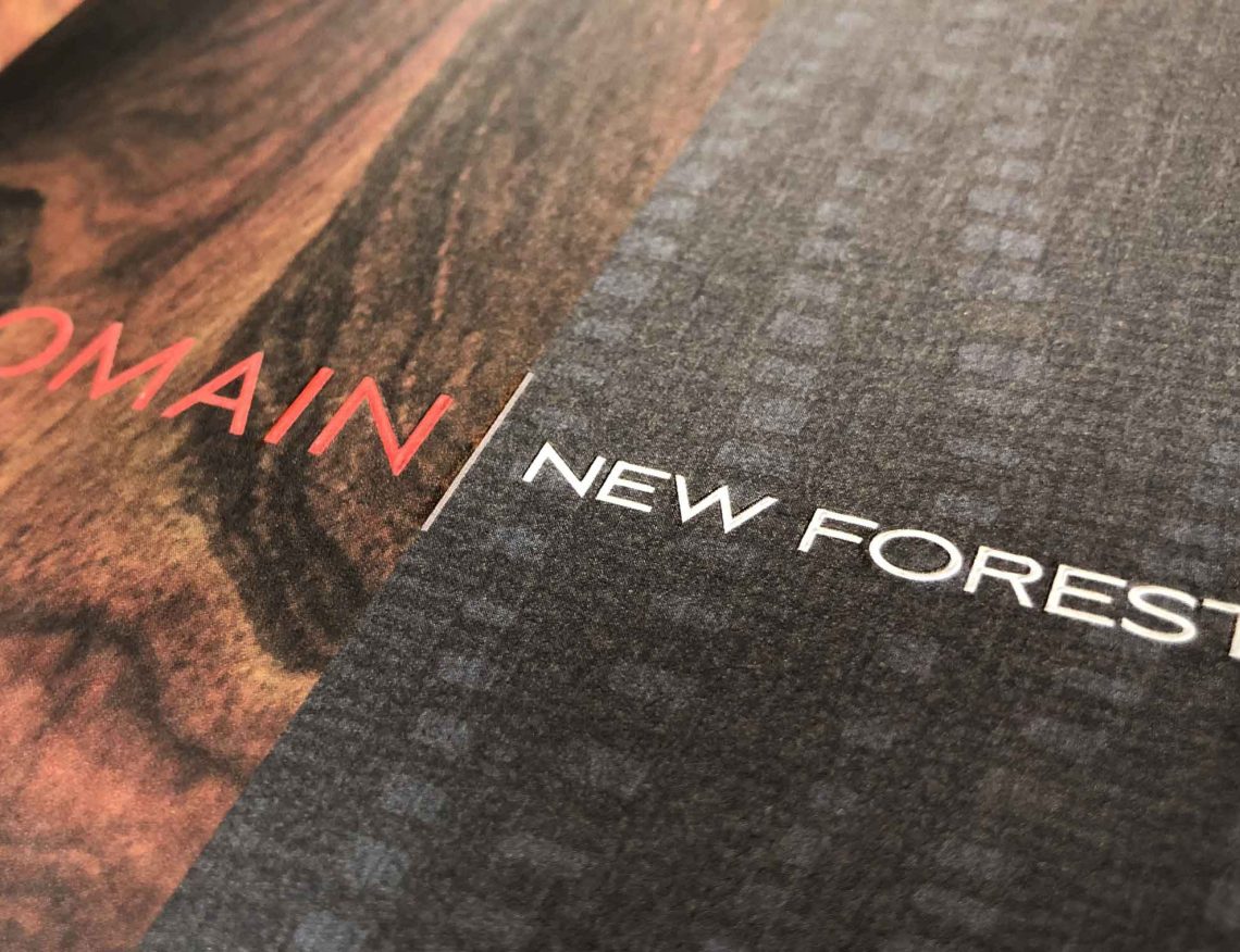 Domain New Forest Apartments Branding Collateral with Embossing