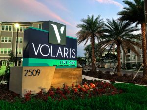 Volaris Live Oak Monument at Dusk