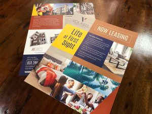 Volaris Starkey Ranch | Flyer