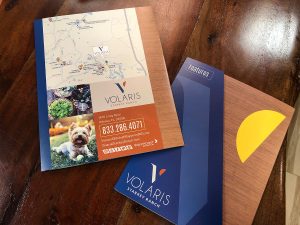 Volaris Starkey Ranch | Brochure