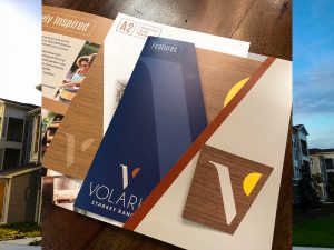 Volaris Starkey Ranch | Brochure