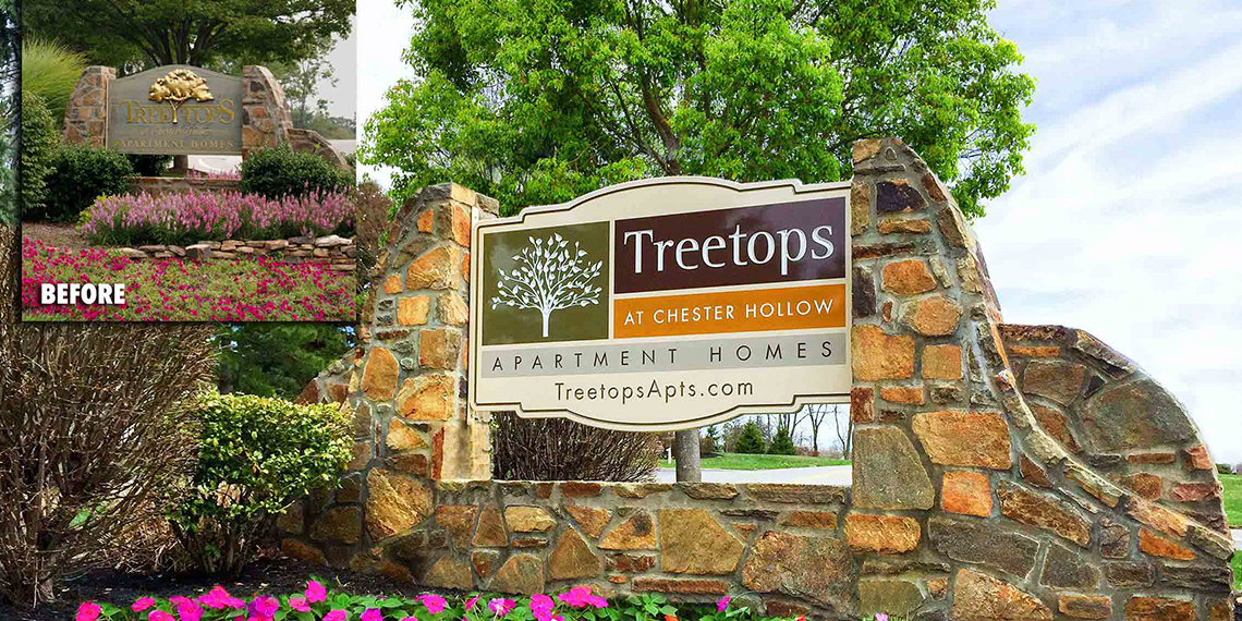 Treetops at Chester Hollow