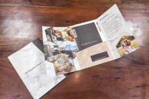1_Domain_Benbrook_Brochure